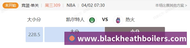 企业概况